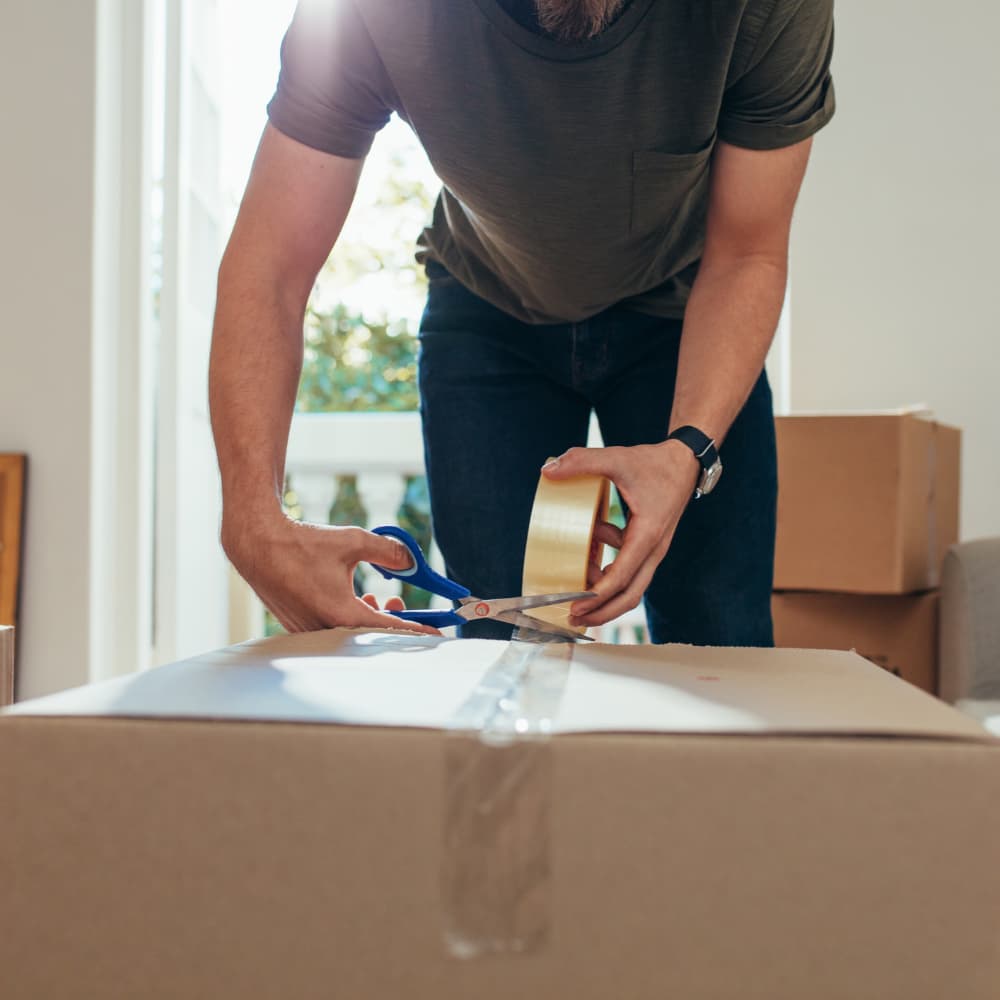 Move 1 (mobile)